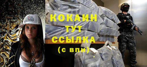 крисы Мегион