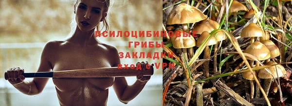 крисы Мегион