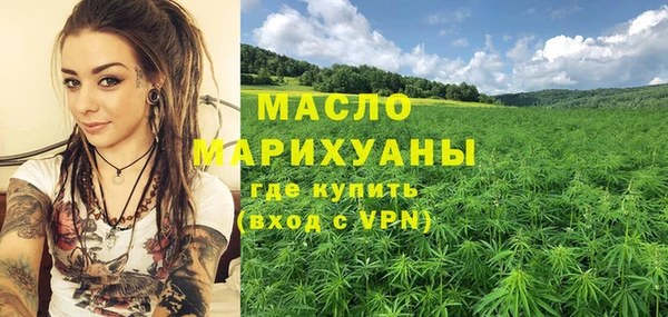 крисы Мегион
