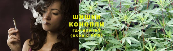 крисы Мегион