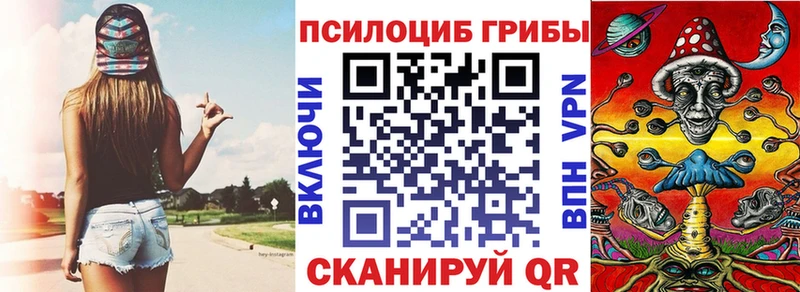 Купить Пласт Псилоцибиновые грибы Magic Shrooms